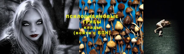 гидропоника Медногорск