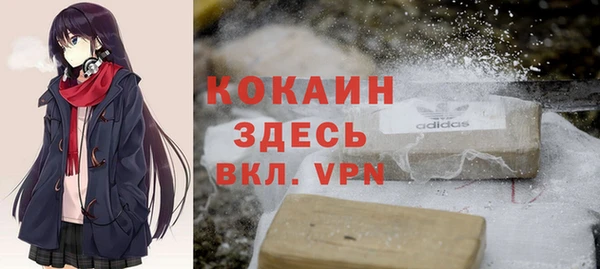 гидропоника Медногорск