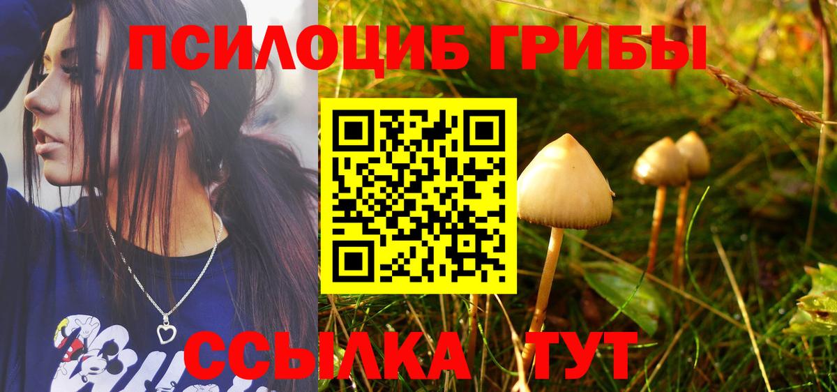 Скопин  Псилоцибиновые грибы Psilocybine cubensis  Вход с VPN  Псилоцибиновые грибы мухоморы 