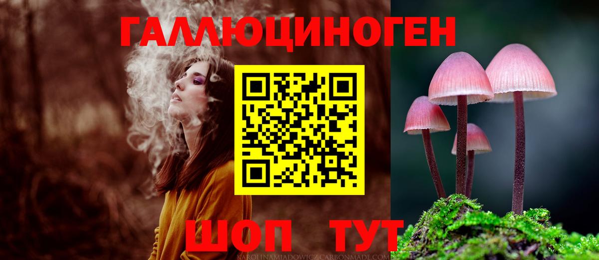 Галлюциногенные грибы Psilocybe Скопин
