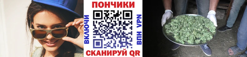 МАРИХУАНА сатива  где купить наркотик  ссылка на мегу как зайти  Скопин 